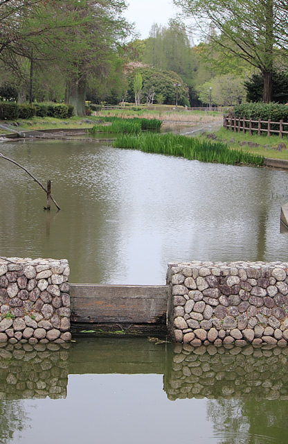 公園内の池