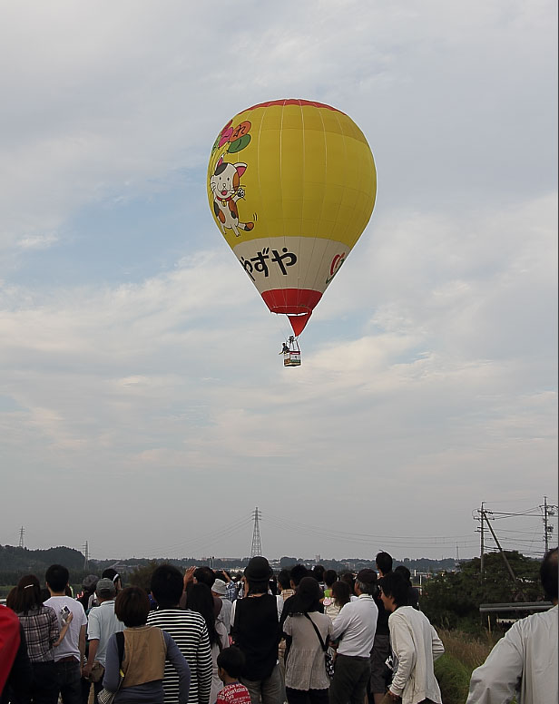 お達者にゃん吉