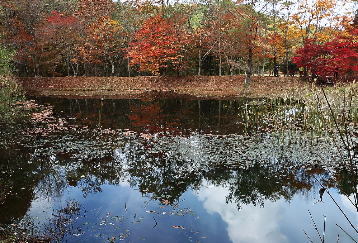 池に映し出された紅葉と青空