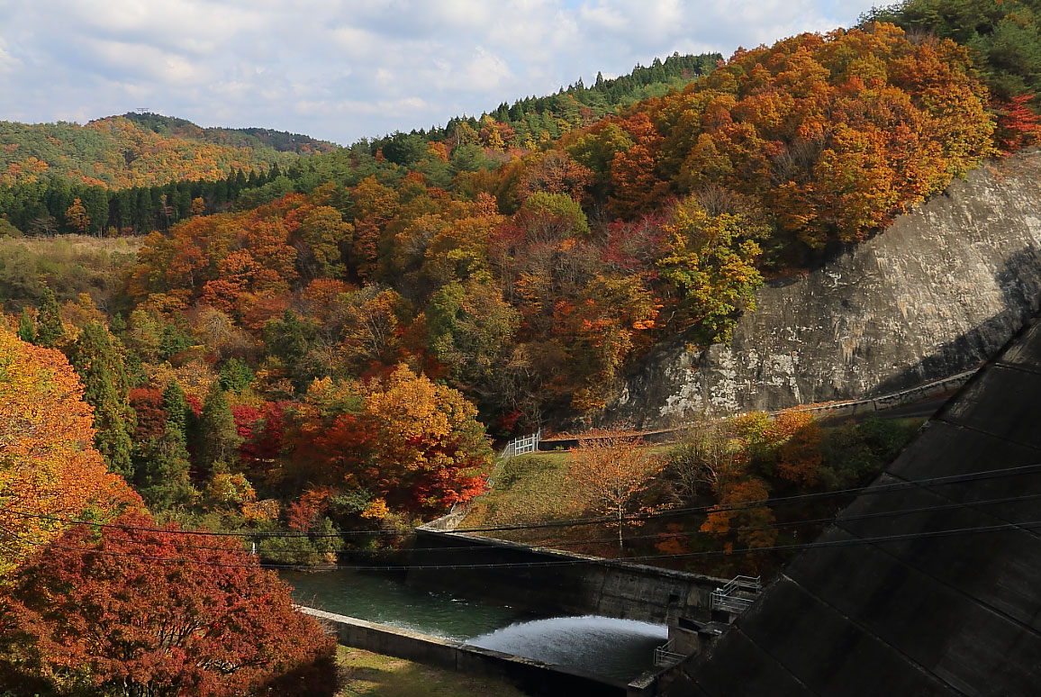 山の斜面を彩る紅葉とダムから放流される水