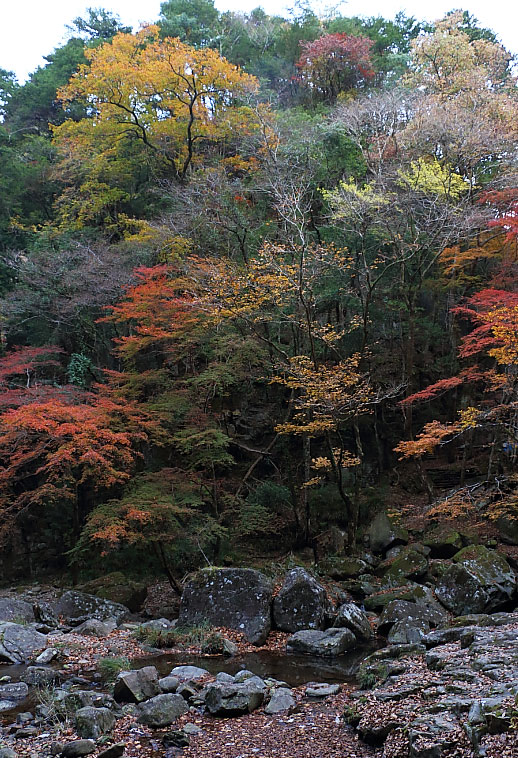 渓谷と紅葉