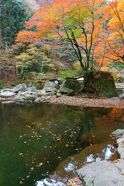 川面に映る7種類の紅葉と七色岩