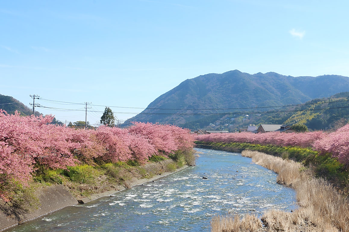 「かわずいでゆはし」から撮影