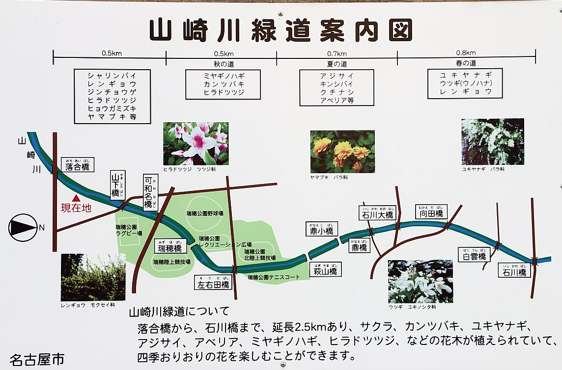 山崎川の桜まつりの観光マップ