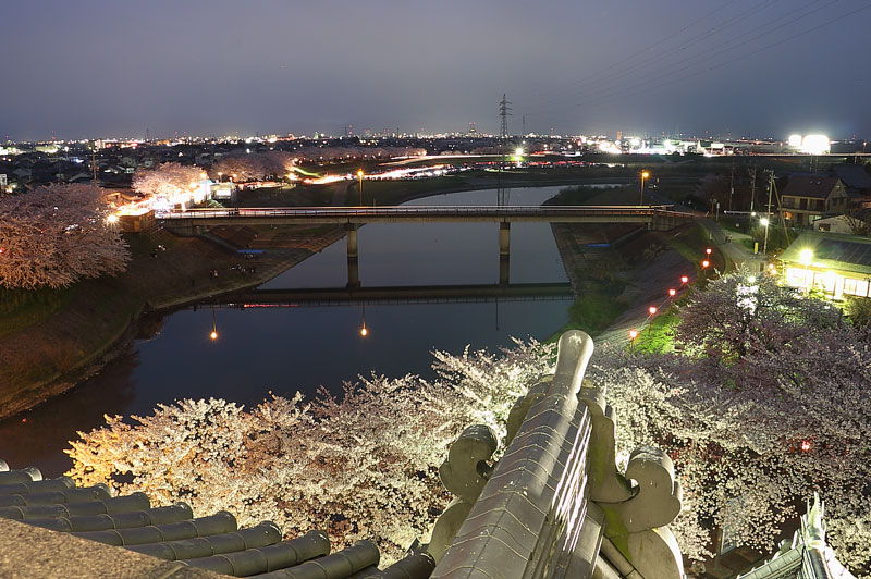 天守閣展望台からの夜景（西側）