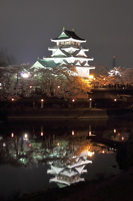 川に映るライトアップされた一夜城と桜