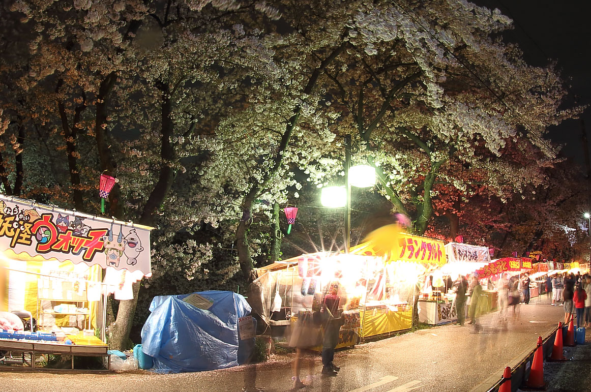 夜の露店と桜