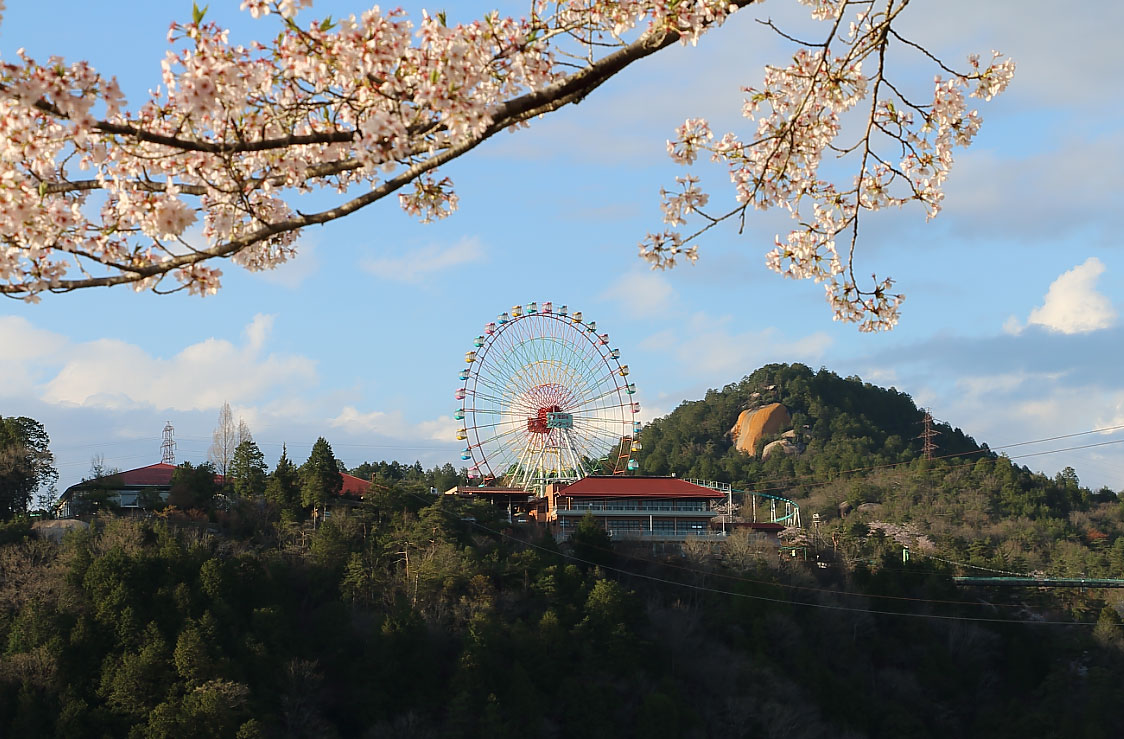 恵那峡ランドの観覧車と桜