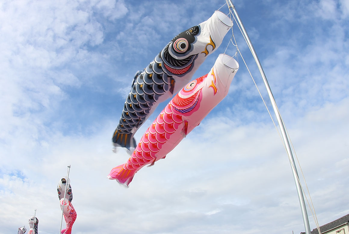 青空と鯉のぼり