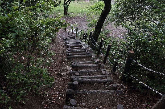 展望台に続く階段