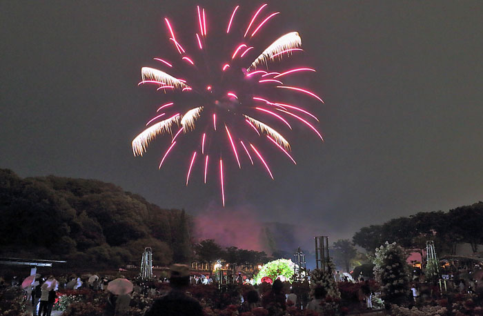 桐のプレリュードから打ち上げられた花火