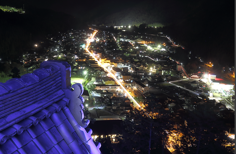 天守閣から望む岐阜市の夜景