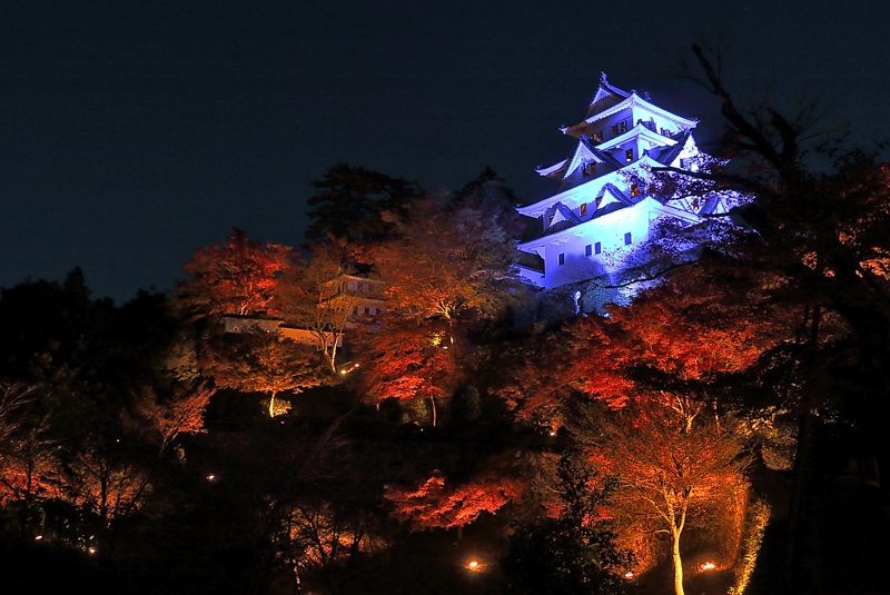 天空のもみじ庭園ライトアップ 