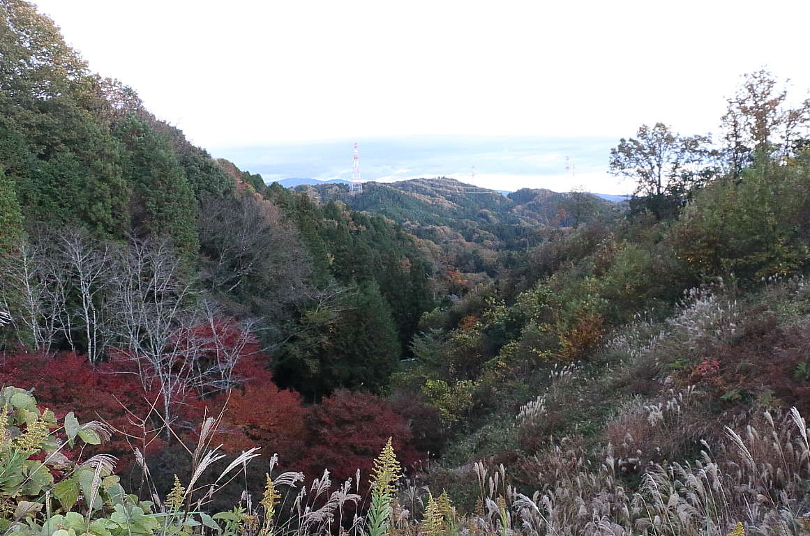 紅葉する山