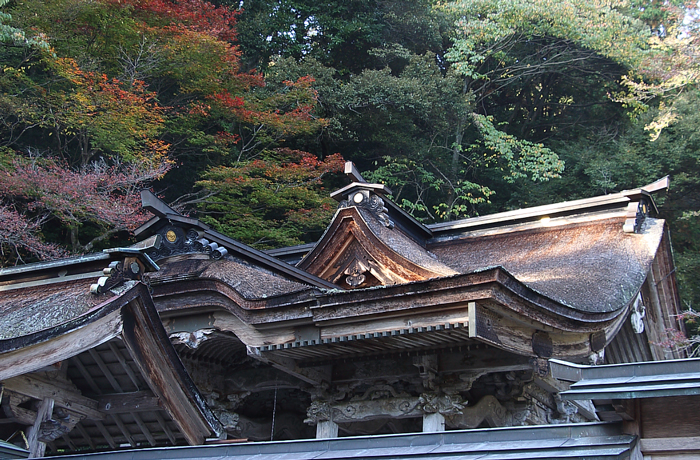 本殿の切妻屋根と紅葉