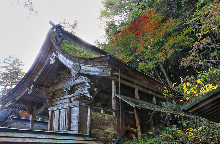 本殿の切妻屋根と紅葉その２