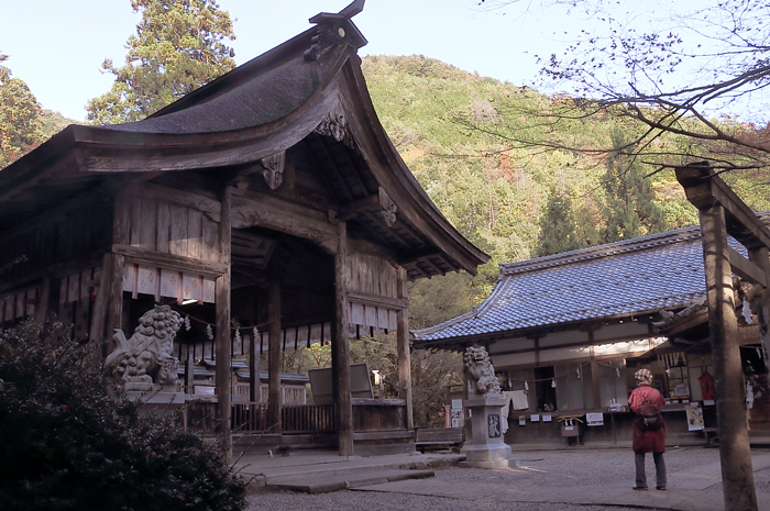 大屋田神社本殿