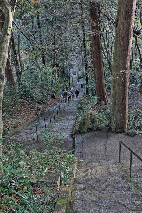 上から見た243段階段