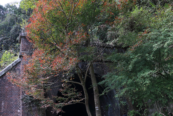 紅葉と5号トンネルの裏側