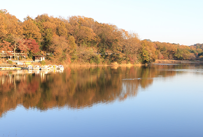 ボート池に映り込む紅葉