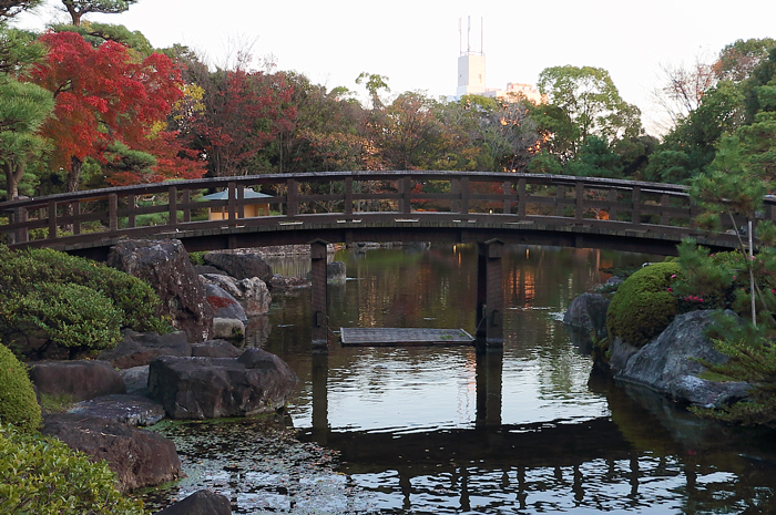 海洋の景