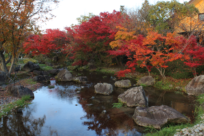 池と紅葉