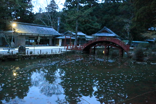 金剛證寺の連間の池
