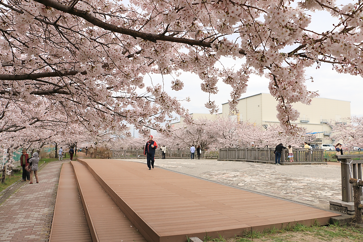 桜のネックレス