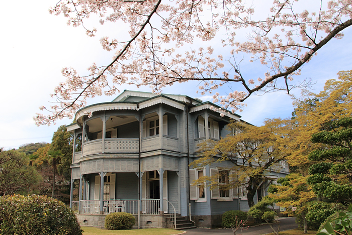 西郷從道邸と桜