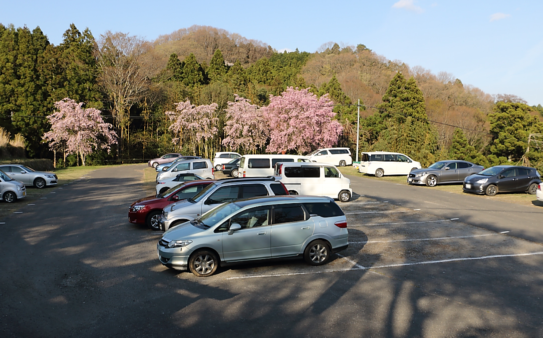 三多気の桜の駐車場