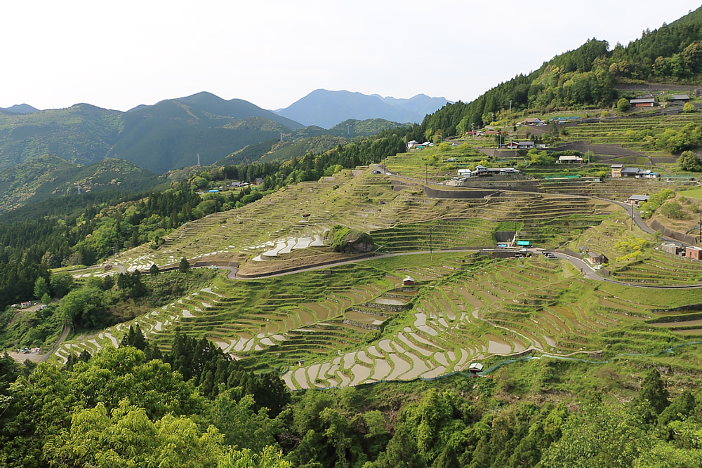 丸山千枚田県道脇展望所からの見晴し