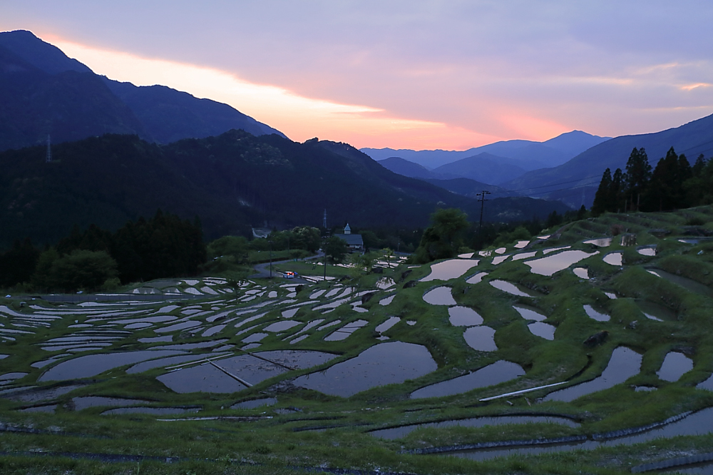 丸山千枚田絶景スポット４