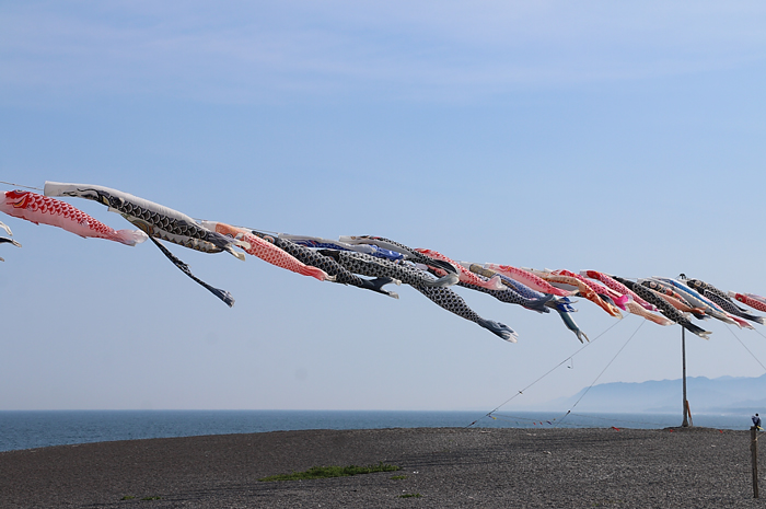 熊野市・七里御浜海岸の鯉のぼり