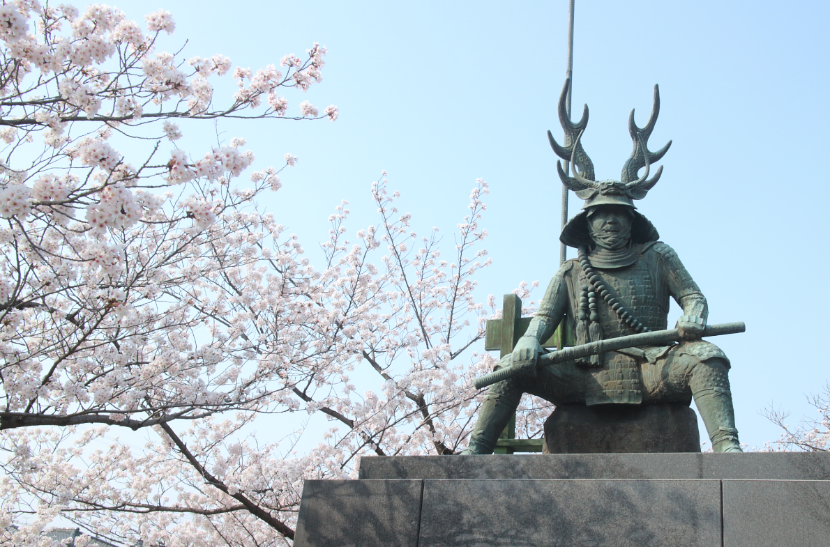 本田忠勝の銅像と桜