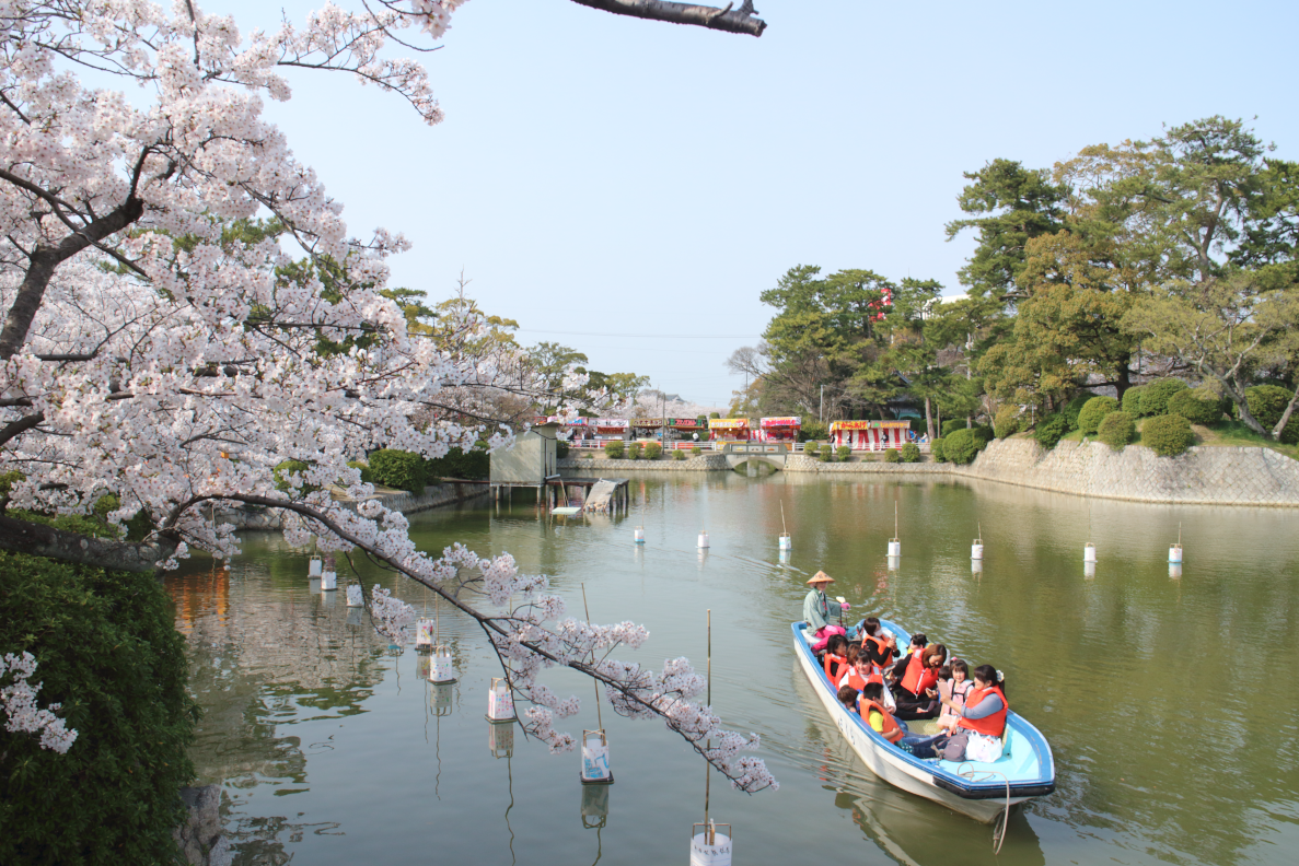 和船でお花見