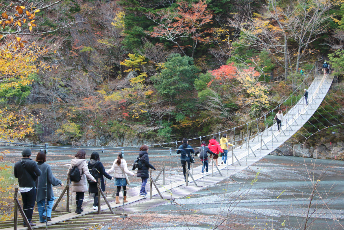 夢の吊り橋