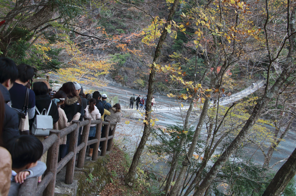 紅葉シーズンの夢の吊り橋