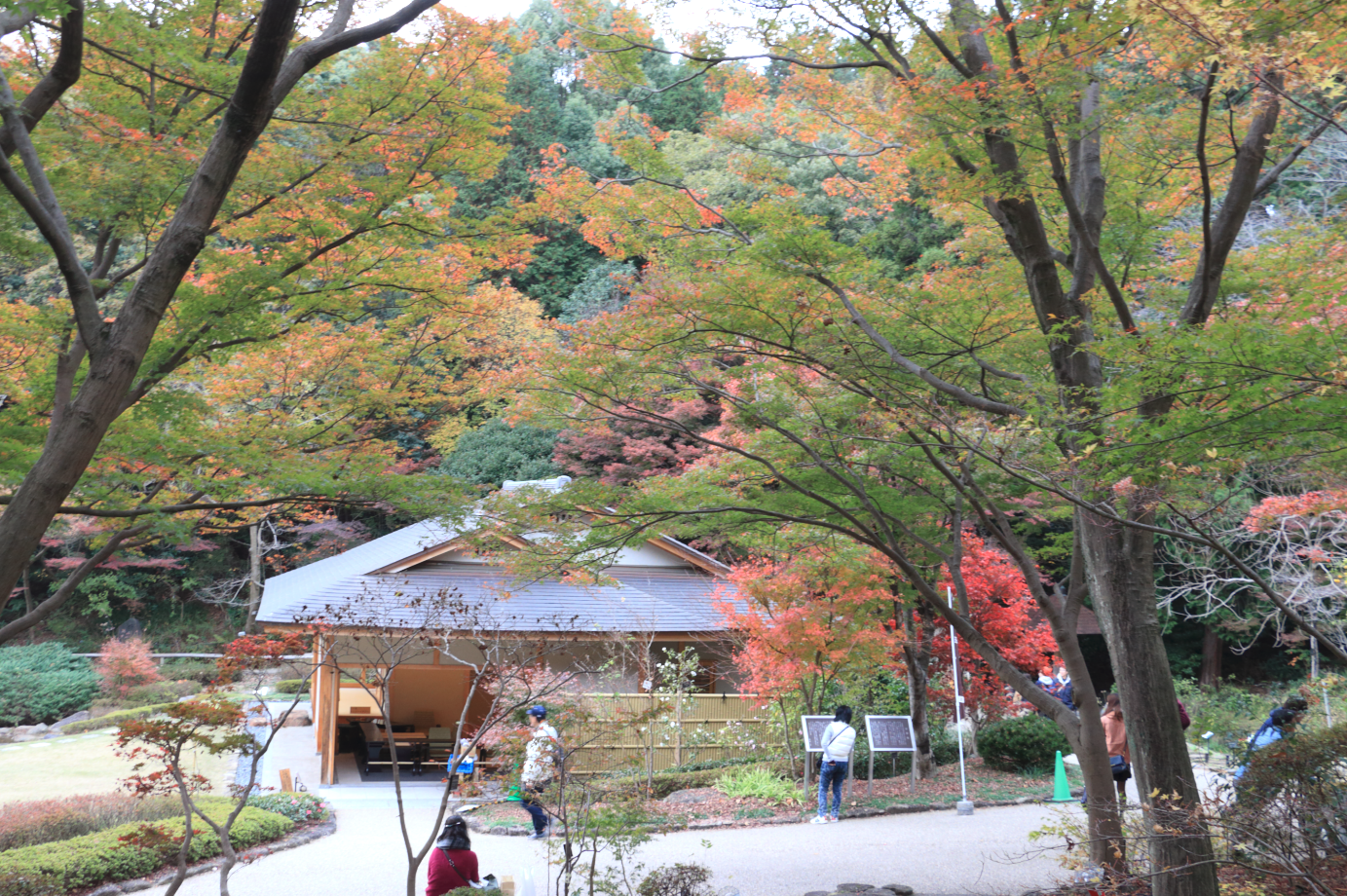 東山植物園休憩所