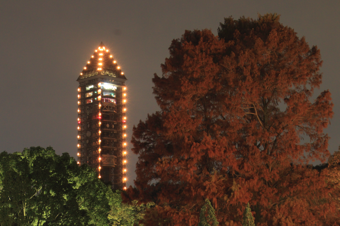 ライトアップされた東山スカイタワーと紅葉