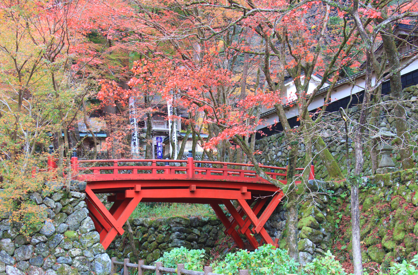 赤い橋と紅葉