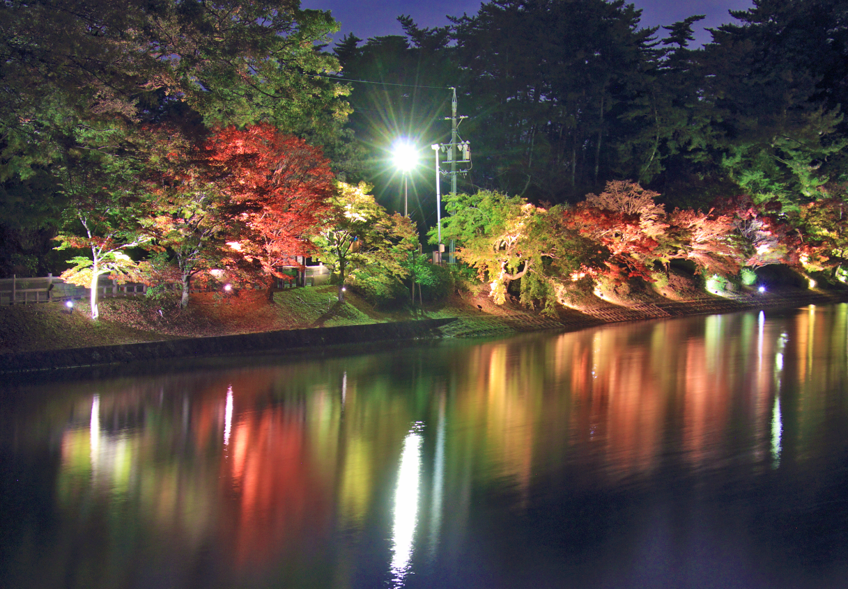 カラフルにライトアップされた岡崎東公園の紅葉