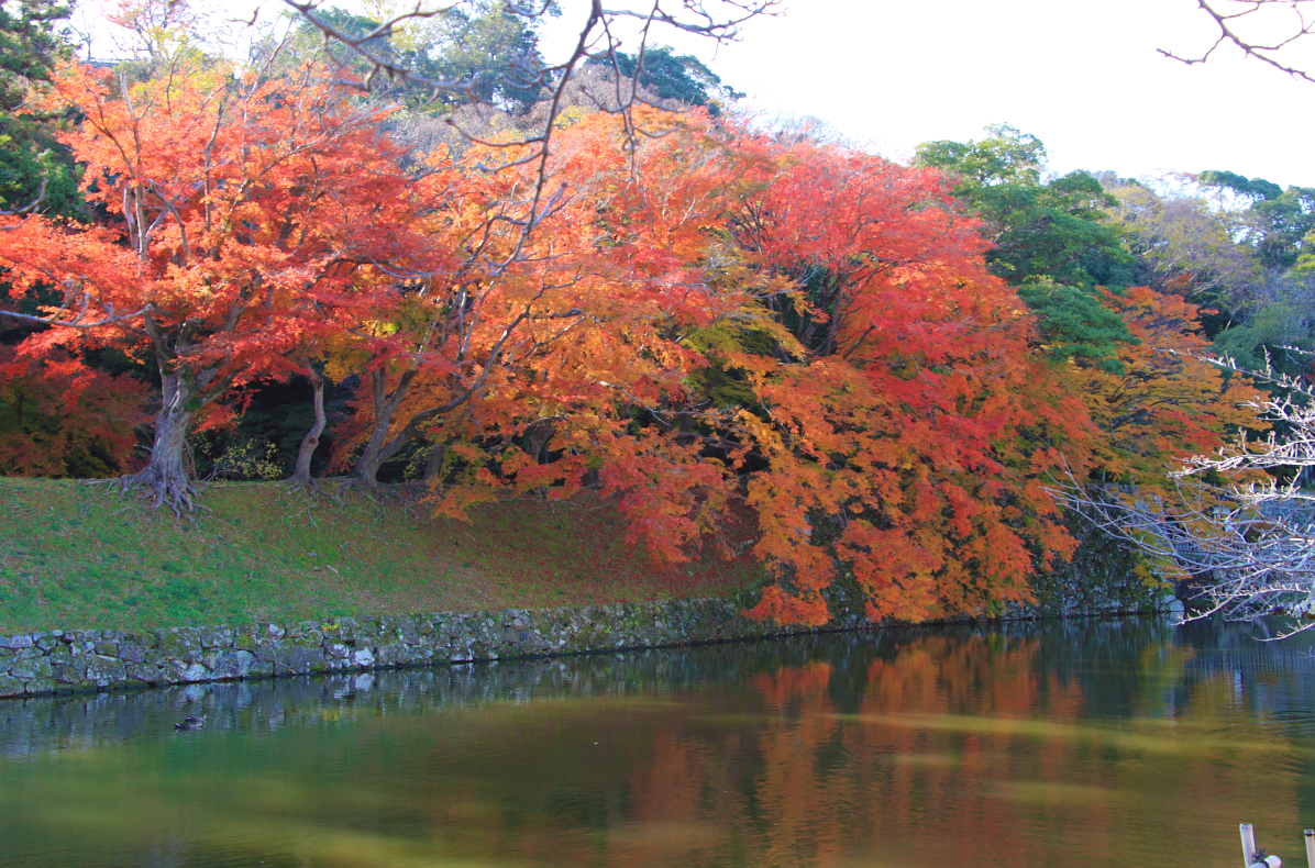 内堀と紅葉