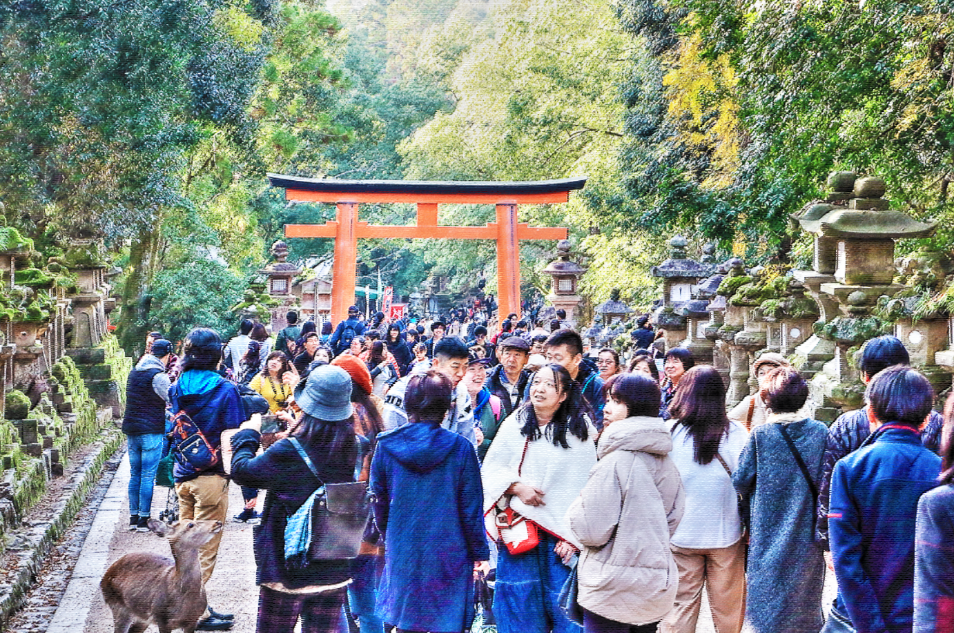 混雑しているときの春日大社