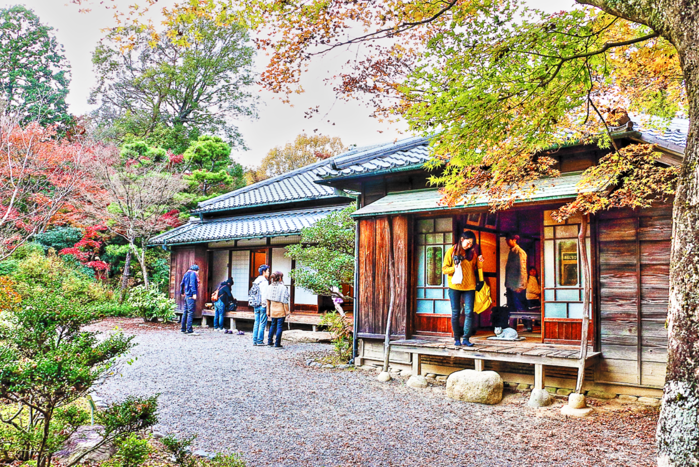 森鴎外・夏目漱石住宅（正面）とモミジ