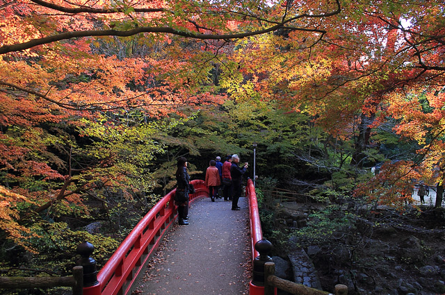 橋と紅葉