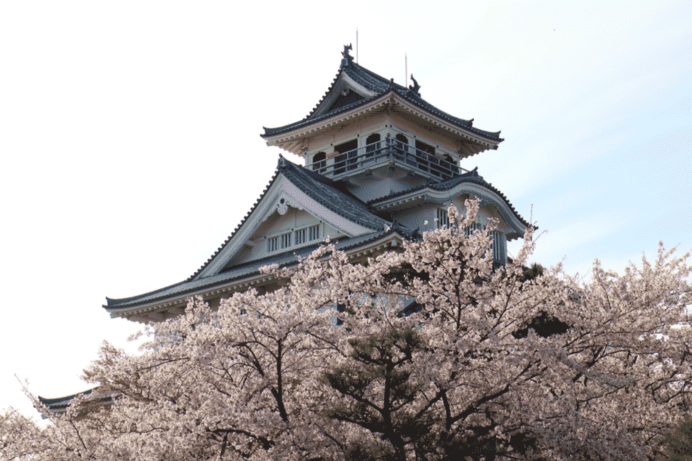 滋賀県の桜の名所マップの駐車場情報