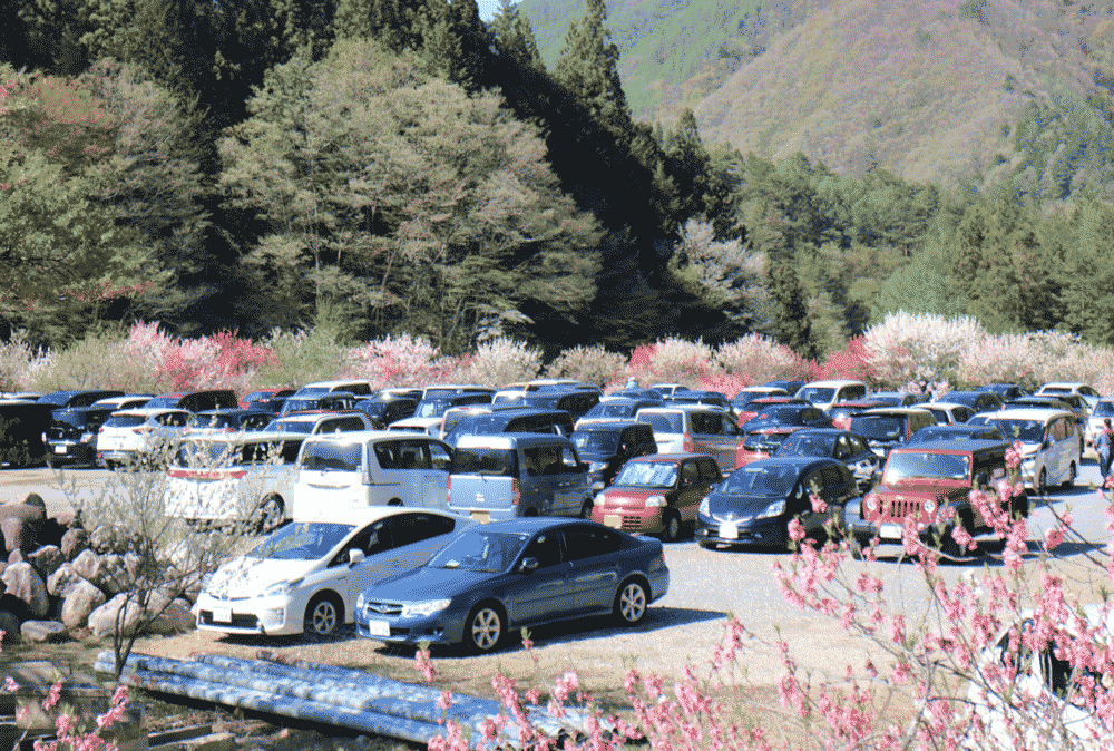 花桃の里駐車場