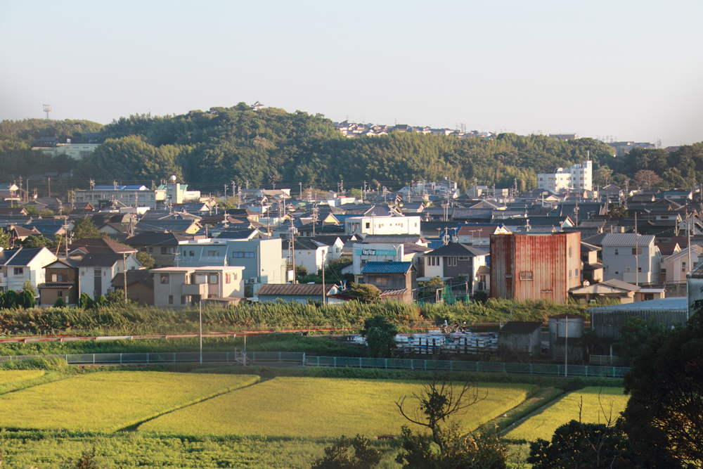 展望台からの眺め