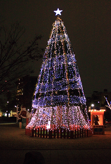 クリスマスガーデン