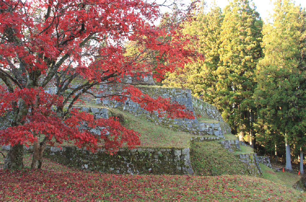 六段壁と紅葉